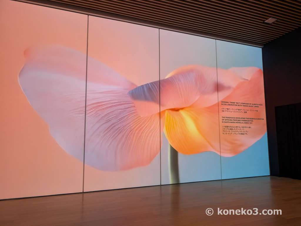 映像展示