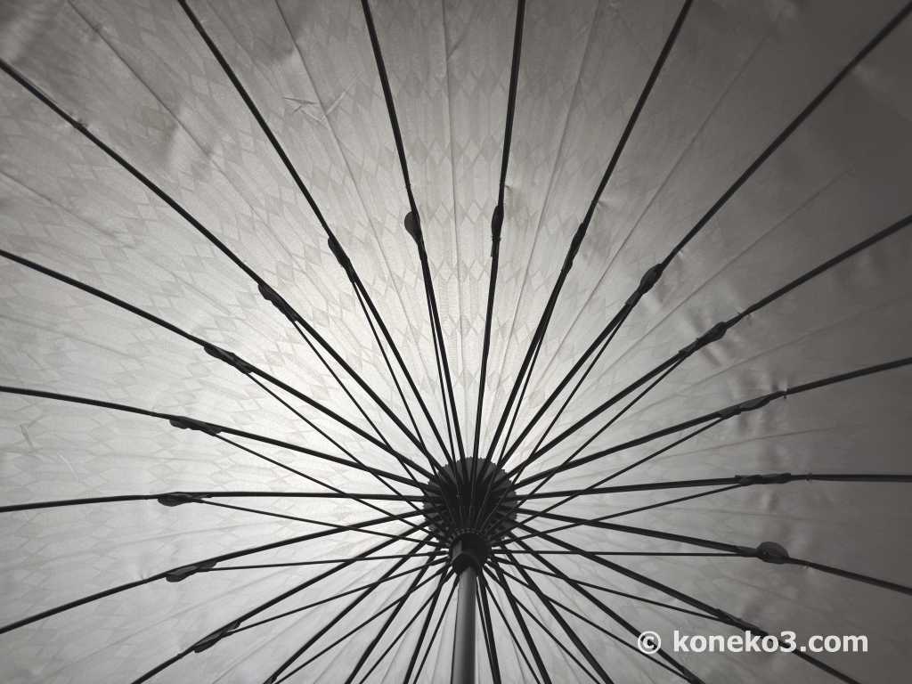 光にかざした状態